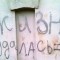 e65a924ee0daa38bd674638667b81b83-foto0440.jpg