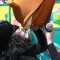 10a9cfe9eb82896b4a37f9e7a98f6bf9-img_9381.jpg