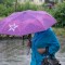 1bd8f5cbd81e654e71e83ad844889153-5.jpg