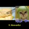 2399740e9d789e19d2bad59f2b351663-v-15.jpg