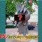 eb3a77d62ac65212fd2ccba3fd808e9a-3_kart_7.jpg