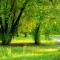 28fb8ef9956f152a5705bc1fa1bc4407-4.jpg