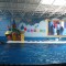 413602a14220e1f3a9a685d00c4e9598-delfinariy.jpg
