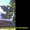 6462872b60df385ebaa0627fb9bd11a1-v-22.jpg