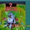 ff1eed2e5e4c6097f47c33c9cd72dd2f-3_kart_2.jpg