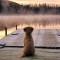 323ddb045c7ea3d59e021a64f0f315e9-awesome_photos_12.jpg