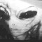 d3da538436c73c602b69a1ea93493aff-grey-alien-picture.jpg