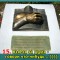 e42704514631bbe240d27adc73f49b29-3_kart_7a.jpg