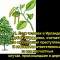 dee6751b295b27b02ae0fca5d99114d5-v-11.jpg