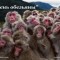 0bbf1e566528436772d259e7213c69ca-13529864036top10-unofficial-holidays-6.jpeg