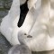 27c613363db4849c2d40d37551710cb4-1329727358_mom_4.jpg