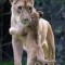 60c914e1a23fac1e72dfff75e1aafd64-1324652496_1323342696-mama.jpg