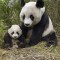 630901cff3d72444d3566812f4831d45-1329727369_mom_6.jpeg
