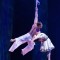 ba3aa5c250b7c56760e2aa1ca9fe16ec-kinopoisk.ru-cirque-du-soleil_3a-worlds-away-1946664.jpg