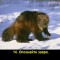 1cdc32531767fa3f26945dc84713c1f1-v-14.jpg