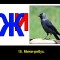 12e7469fe3eaf1abd35648bf860687b0-v-15.jpg