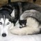 28db4cf5e13c3d6e4bdb087c547242e6-foto-0003.jpg