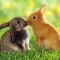 a8adbaa8f1e1b95b354da3a6914bd4df-foto-0013.jpg