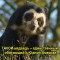 a957dc327060e0886eaaead2f2ad6f24-v-14.jpg