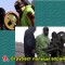 ac6756329dbc6297469679796eed7cc9-3_kart_1a.jpg