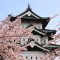 b58ddbf5ec86eb095fe5c616f1cd4222-sakura-depositphotos_8961790_s.jpg