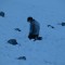 0c20b13b0cc2e598cf1530d64ceda37a-kinopoisk.ru-the-dyatlov-pass-incident-2043055.jpg