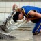 2290f6565325ea050db7feda232f6f2c-crocodile-farm-pattaya-560x407.jpg