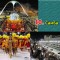 1ea663b37b77f00db7f58c85ba7494d4-3_kart_2a.jpg