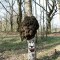 fa54d6c6bdbe225d64b2debe01707aaa-treeproject11.jpg