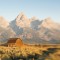 lensbaby.jpg