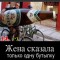 54622909b9de2eaa5ae96195d061cbe6-3_kart_6a.jpg