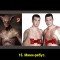 88d82db2dabeb494e6827111e6e89600-v-15.jpg