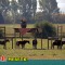 af94587720063c3ff514a7bed516050a-3_kart_3a.jpg