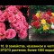 f910519b1769d2248e6f5ad2be4d7d7d-v-10.jpg