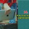1fe7d9489a8dec7b74a501e8b607d92b-3_kart_6a.jpg