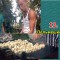 54ba4d0c38287d88ddb09b8fe6f1cdcd-3_kart_5a.jpg