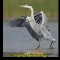713d5bfb7f2da4924aeaa9bbffa380cf-v-11.jpg