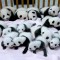658126d6cf9398c94d17bb761d09e1e9-supercoolpics_01_27092013124320.jpg
