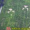 506d1fefed95fe301ab682f62a413ac6-3_kart_4.jpg