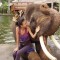df42d13ebdde51cb6b8e78e8f09c4bfb-christine_with_elephant_big-1024x768.jpg