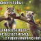 255f2155646510247157962eb0a2fd0c-lolkot005.jpg