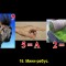 b6e3fc82ed41257d5de221d6c3854466-v-15.jpg