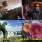 66412abdf74dea516b9642c2193e7c9d-2_kino_4.jpg