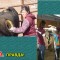 e21aeb1724afe35bd56005e2d74bfecd-3_kart_2a.jpg
