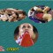 c8897cfe32486dcc36ca4aaf710a40ab-3-kart_4.jpg