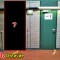 2c65608a22081d65abb3667510d21fe3-3_kart_5.jpg