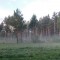 f1a4848ec1d776467b194ebefaa40c9d-20140615_065128.jpg