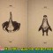 24be2680ff982bd4dabb63ff67a50fe2-3_kart_3a.jpg