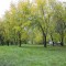 5155945fde5439becf467d8cb52a1d78-osen07.jpg
