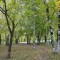 f13fd5d5d487ec8521e419ce2f079848-osen01.jpg